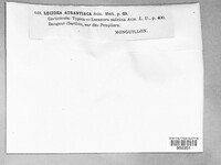 Image Associated With the Occurrence